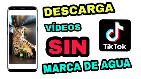 Descargar video de tiktok sin marca de agua - In recent years, TikTok has taken the social media world by storm. This video-sharing platform allows users to create and share short videos, offering a unique and entertaining way...